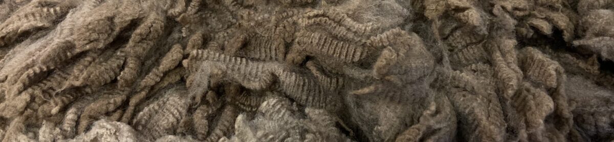 Central Virginia Fiberarts Guild