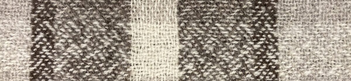 Central Virginia Fiberarts Guild