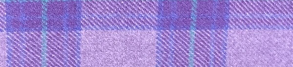 Central Virginia Fiberarts Guild